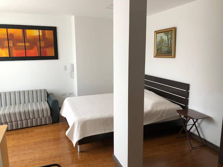 卧室（ 1 ）宽敞；除了Canapé Lit或沙发床、衣柜和卫生间外，还有一张双人床