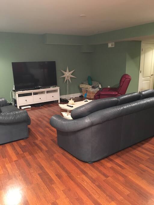 Basement media area