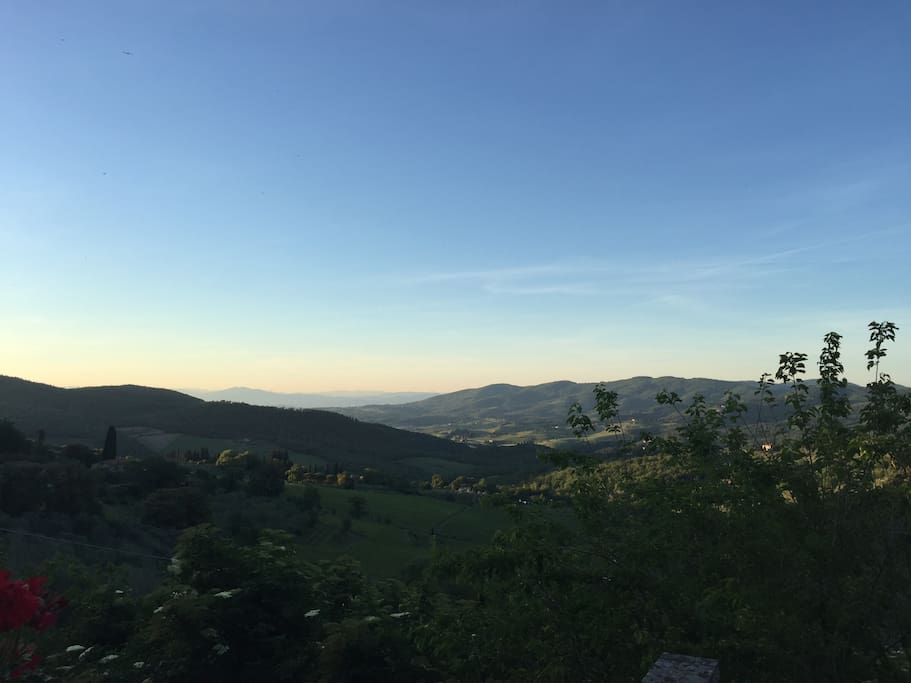 PANORAMA