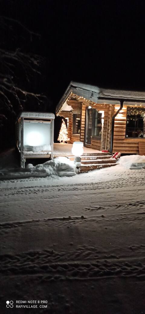 Rafi - Aurora Cabin 4