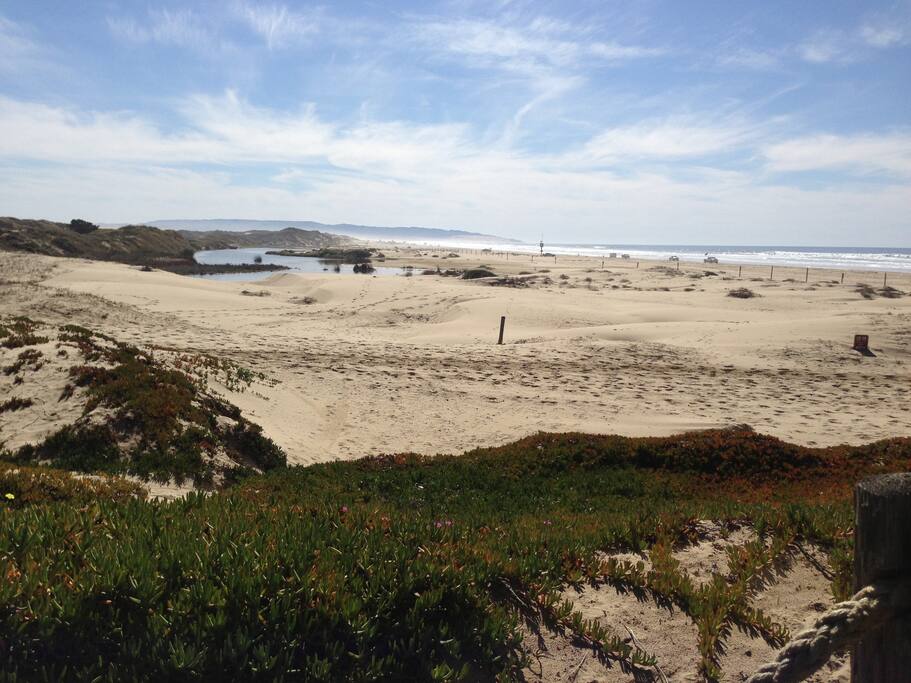 Beaches with dunes