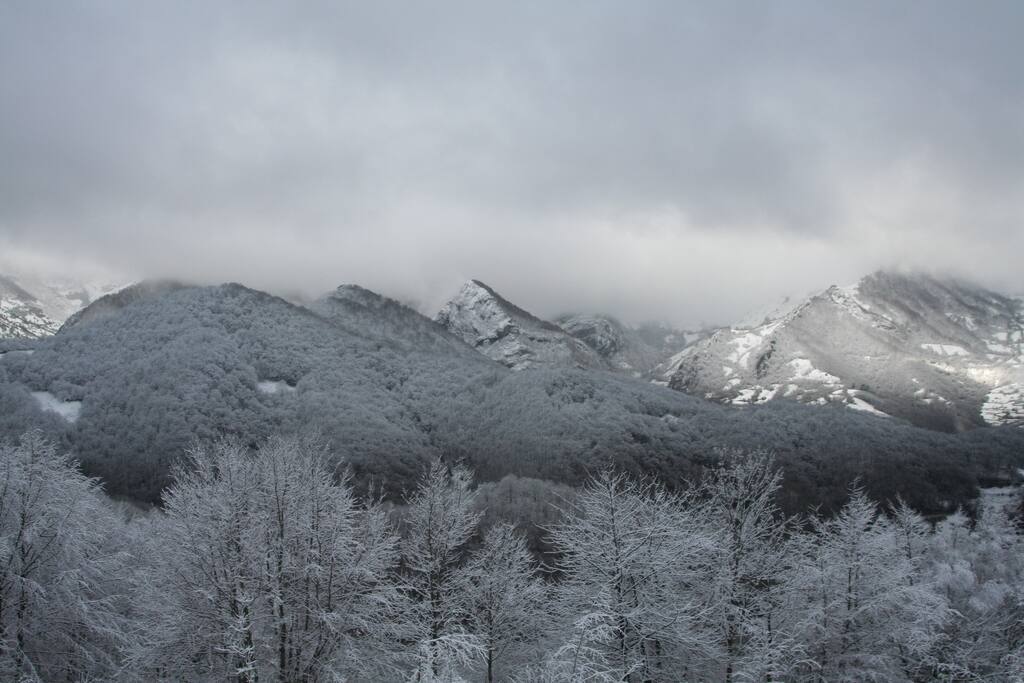 Vistas con nieve