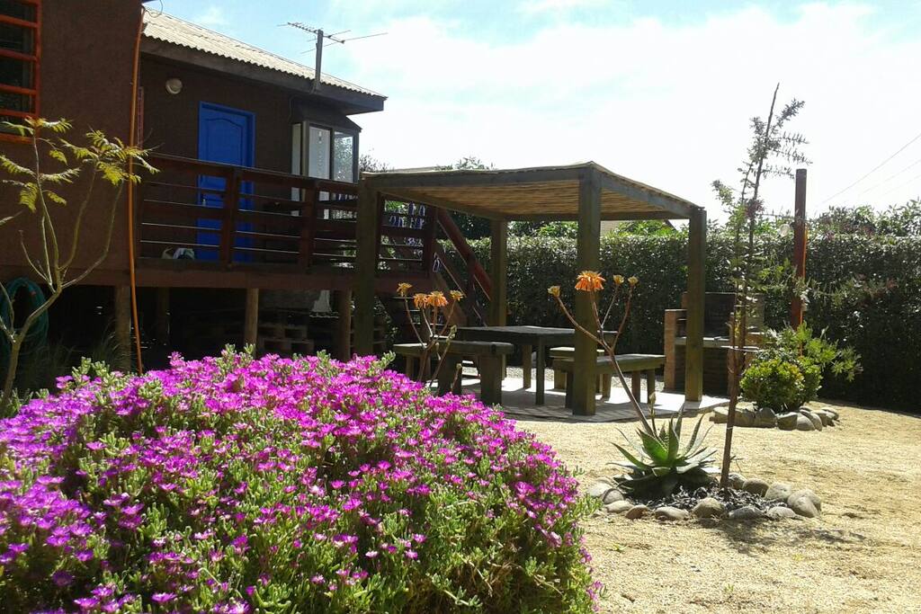 Patio trasero con parrilla y comedor exterior
