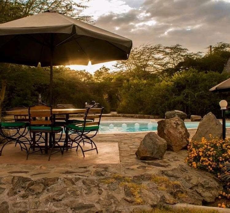 An outdoor seating area is depicted with a round table and several chairs positioned beneath a large umbrella. Soft light filters through the trees, illuminating the nearby pool and natural stone surroundings, complemented by clusters of blooming flowers.