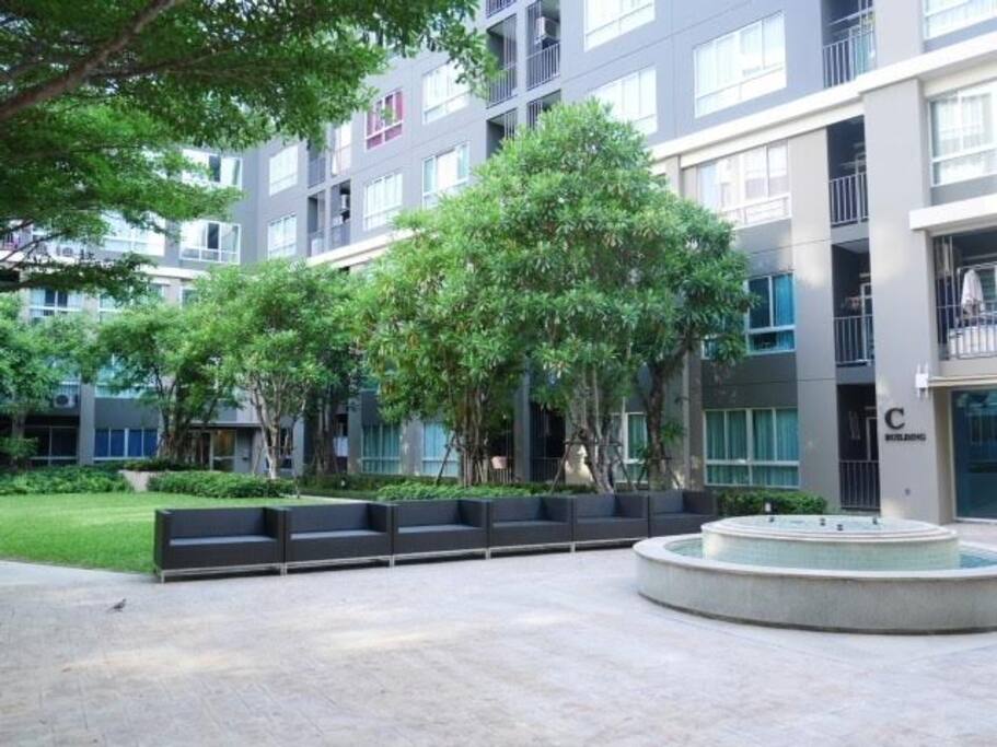 Outdoor garden