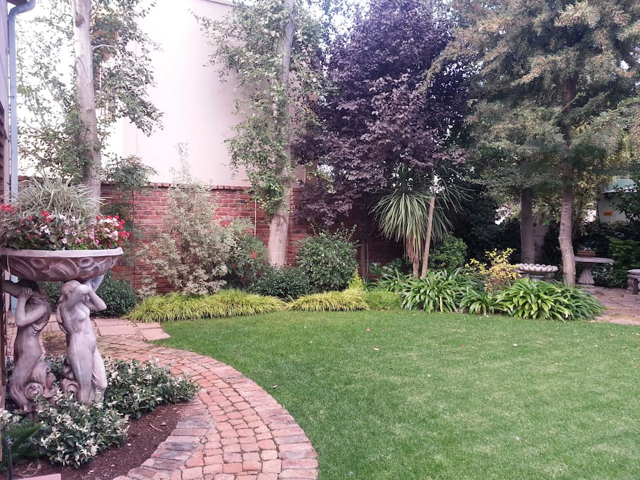 Garden view from blue room