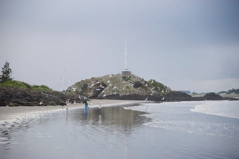 Sumner Beach Front House
