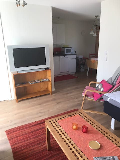Popular Airbnb listing: Apartment/Guesthouse near downtown Växjö in Växjö