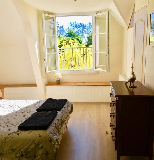 A room with a view