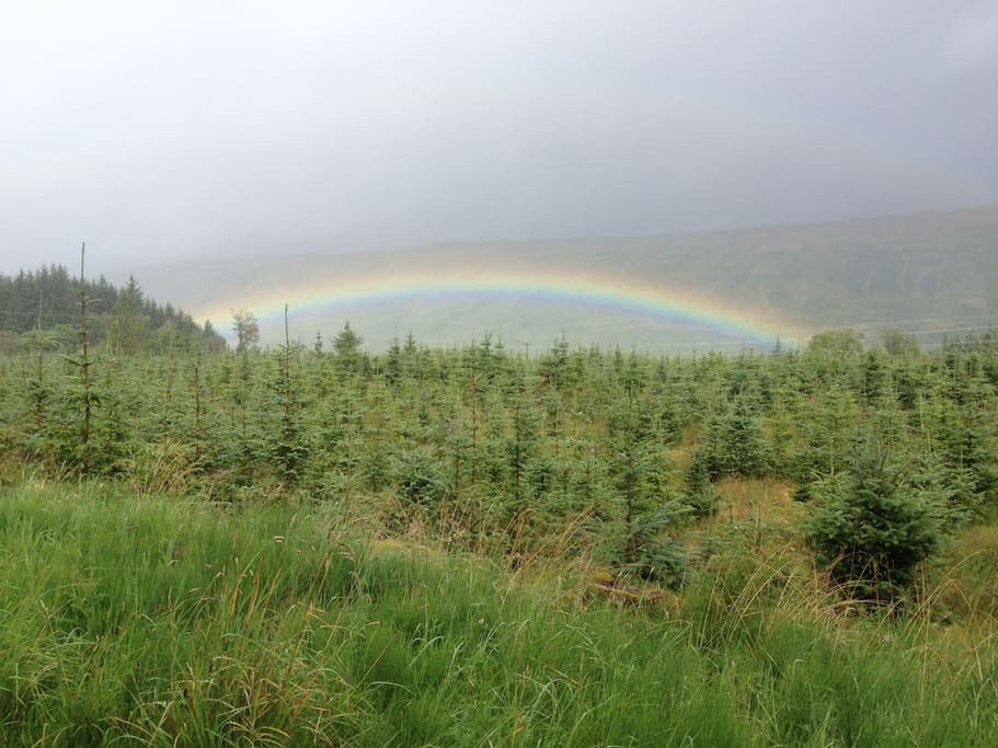 View from front garden.