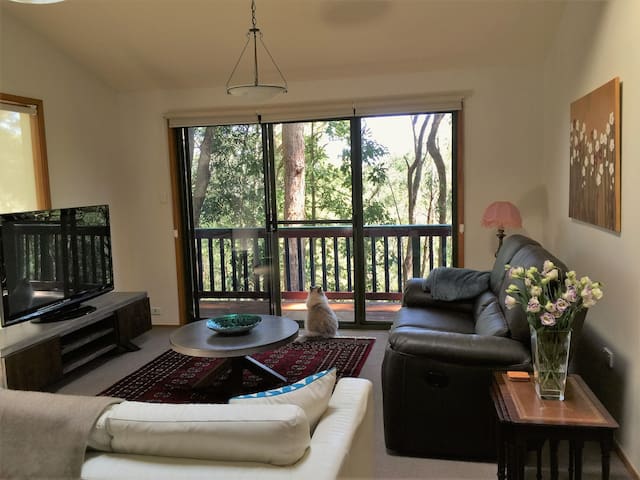 Tree house sanctuary