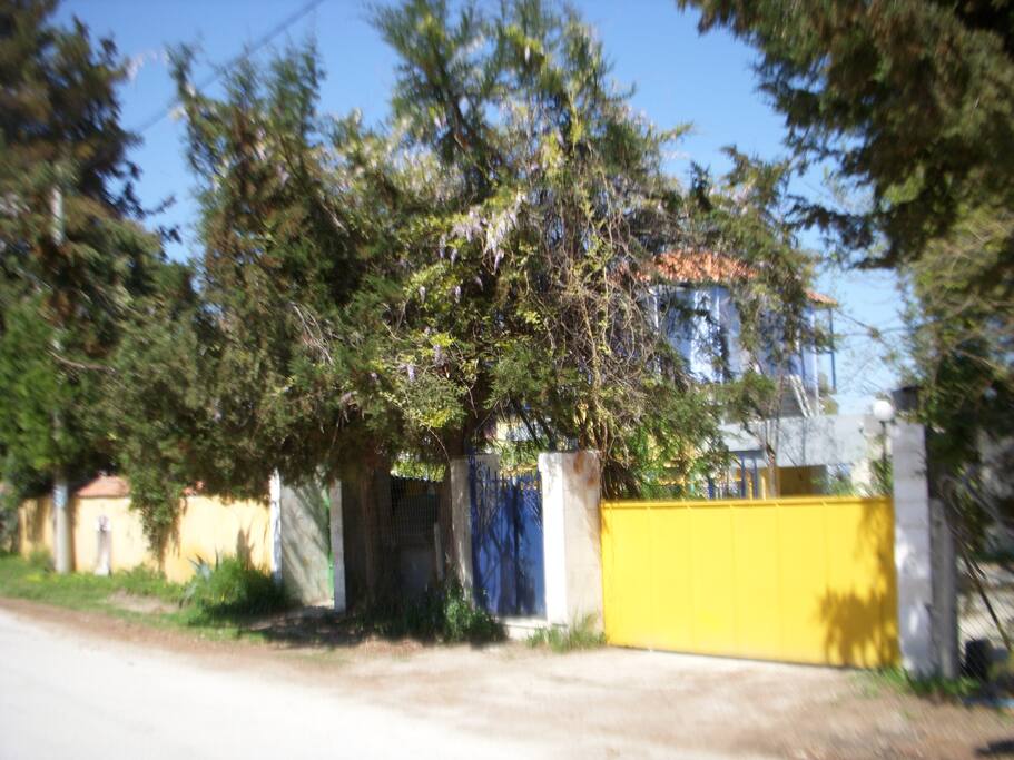 Main entrance.