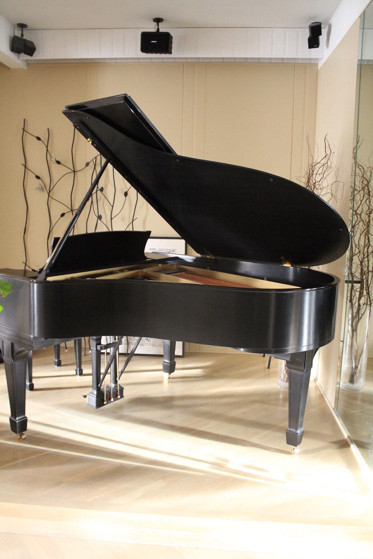A polished grand piano is positioned in a well-lit corner, featuring an open lid that reveals the strings inside. The surrounding area is decorated with slender plants, and the light wooden floor reflects the piano's elegant design.