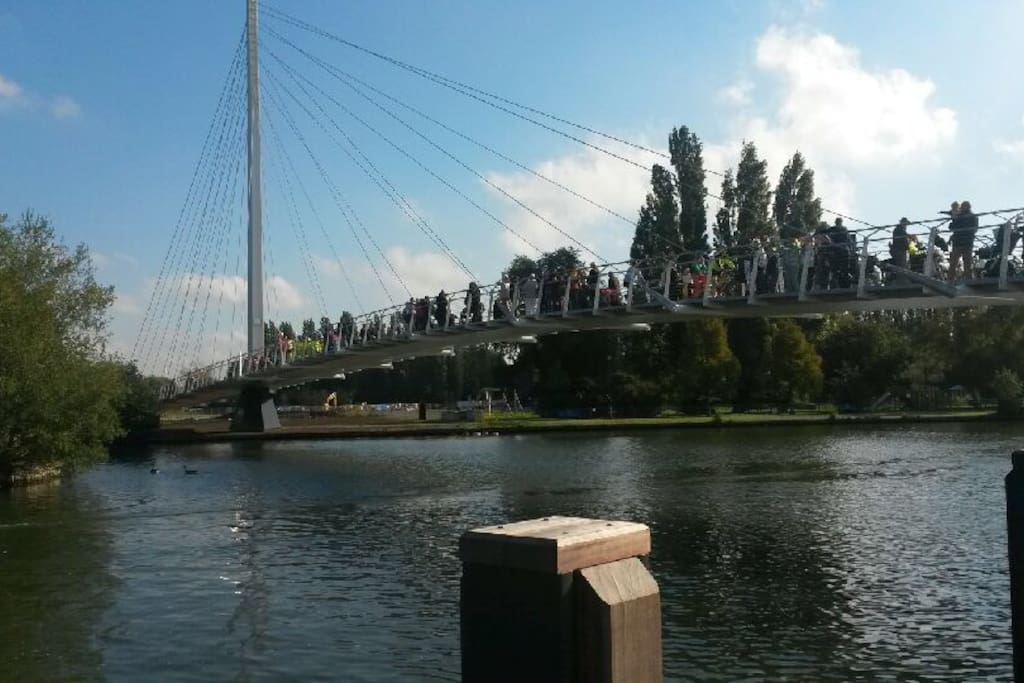 Next door to Reading's new bridge