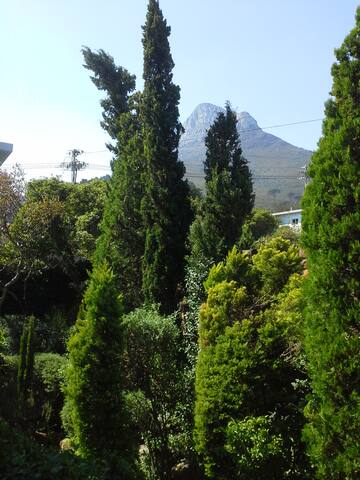 Camps Bay Parterre Apartment gallery image 5