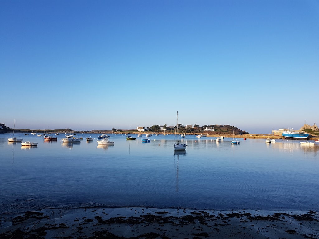 A calm coastal scene is presented, featuring numerous boats gently bobbing on the water. The serene blue sky reflects on the surface, while distant land is visible in the background. The stillness of the water creates a peaceful atmosphere, perfect for relaxation.