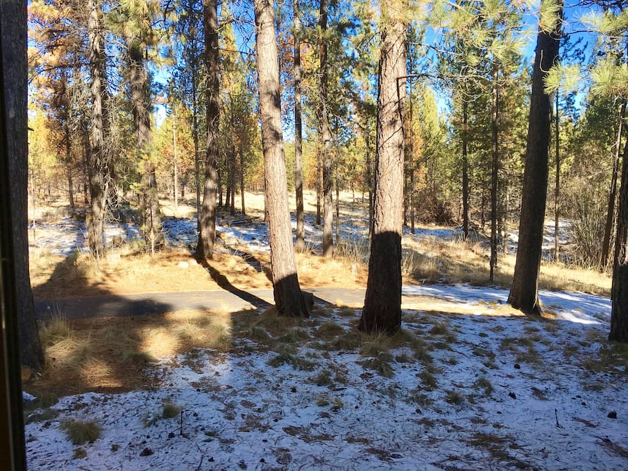 View from living room (walking path and Deschutes National Forest)
