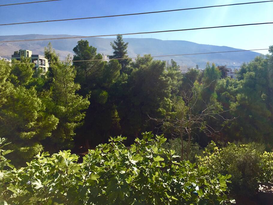 View from the balcony