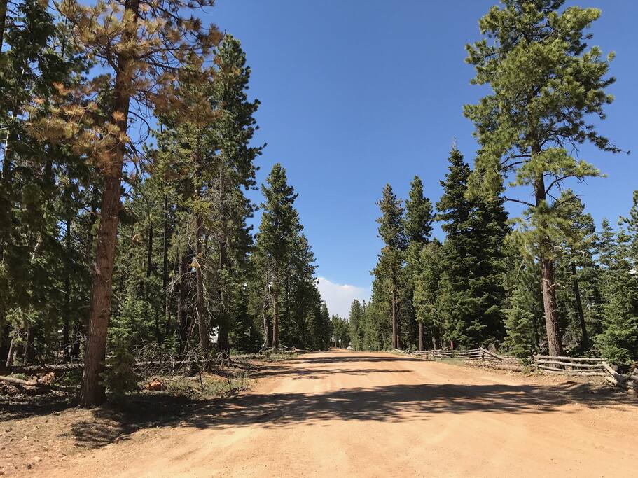 Powerline Road