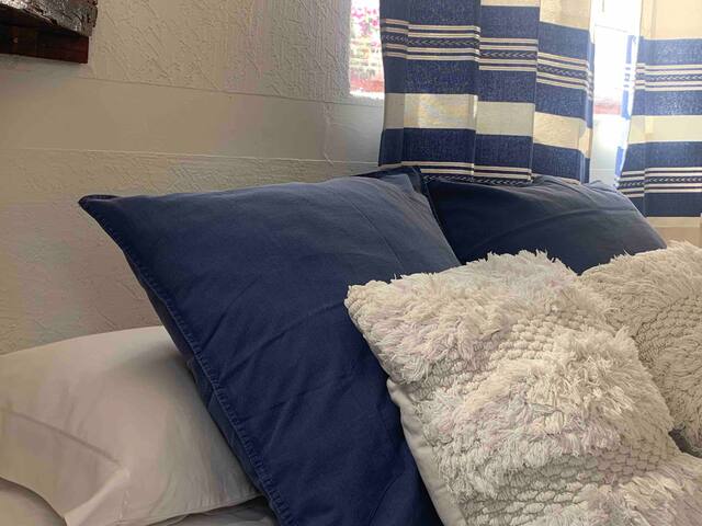 Centro de Coyoacan , Casa familiar 4 habitaciones gallery image 2