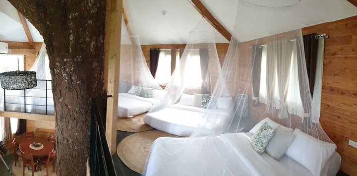The Treehouse