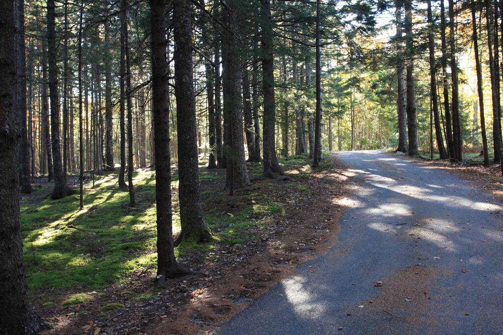 Driveway in