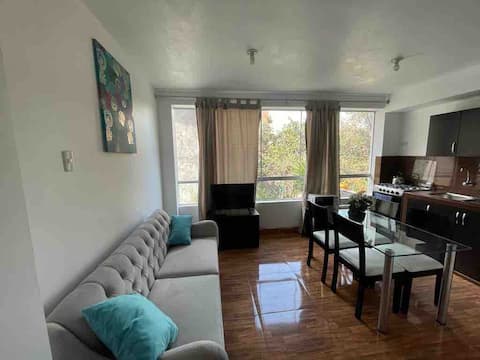 2Department in super cozy historic downtown