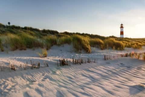 Popular Airbnb listing: 4-person chalet in the dunes, near the sea and Nes in Nes