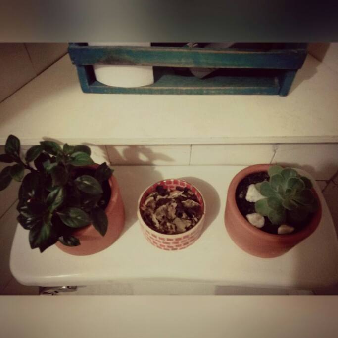 Hasta en el baño la naturaleza nos persigue.