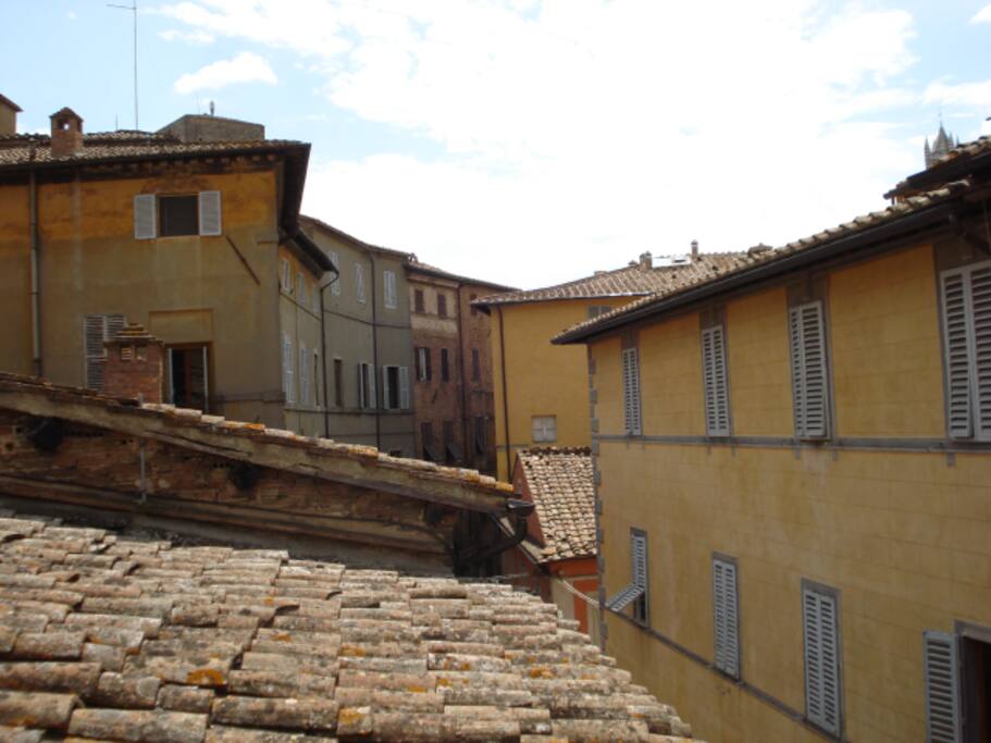 Vista camera 1