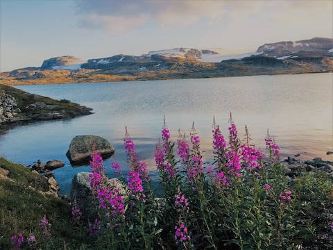 "ARCTIC" FINSE - the CRADLE of "ICE PLANET HOTH"