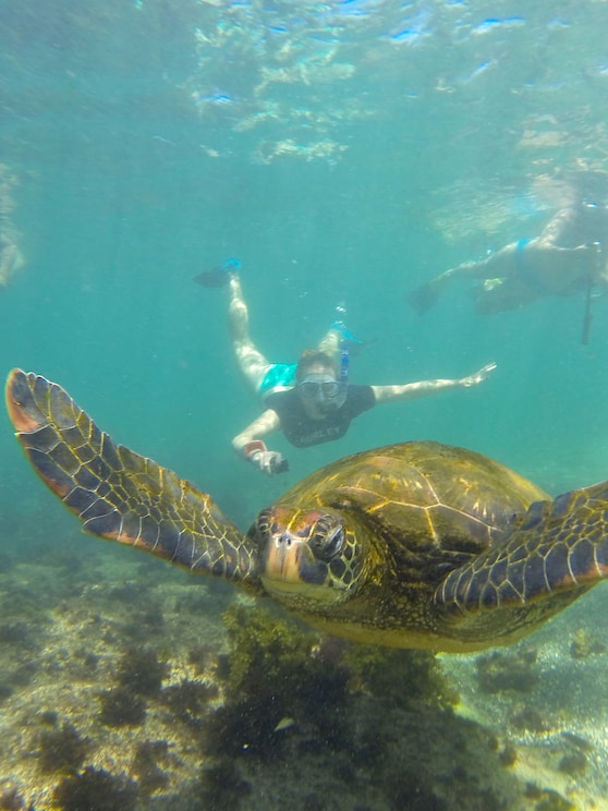 Show full-screen, host-provided image