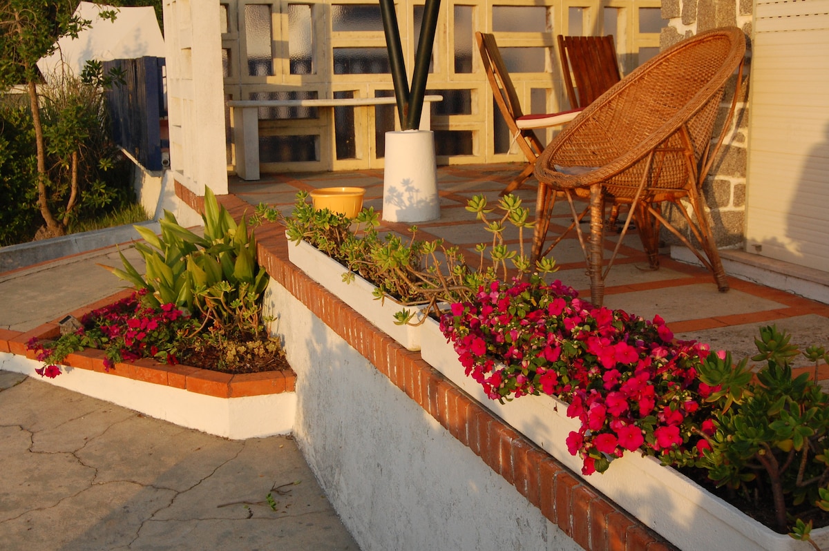 A charming outdoor patio area is highlighted with vibrant pink flowers and greenery along the edges. A wicker chair is positioned on the patio, providing a comfortable spot to relax. The area is well-lit by the warm glow of the setting sun.