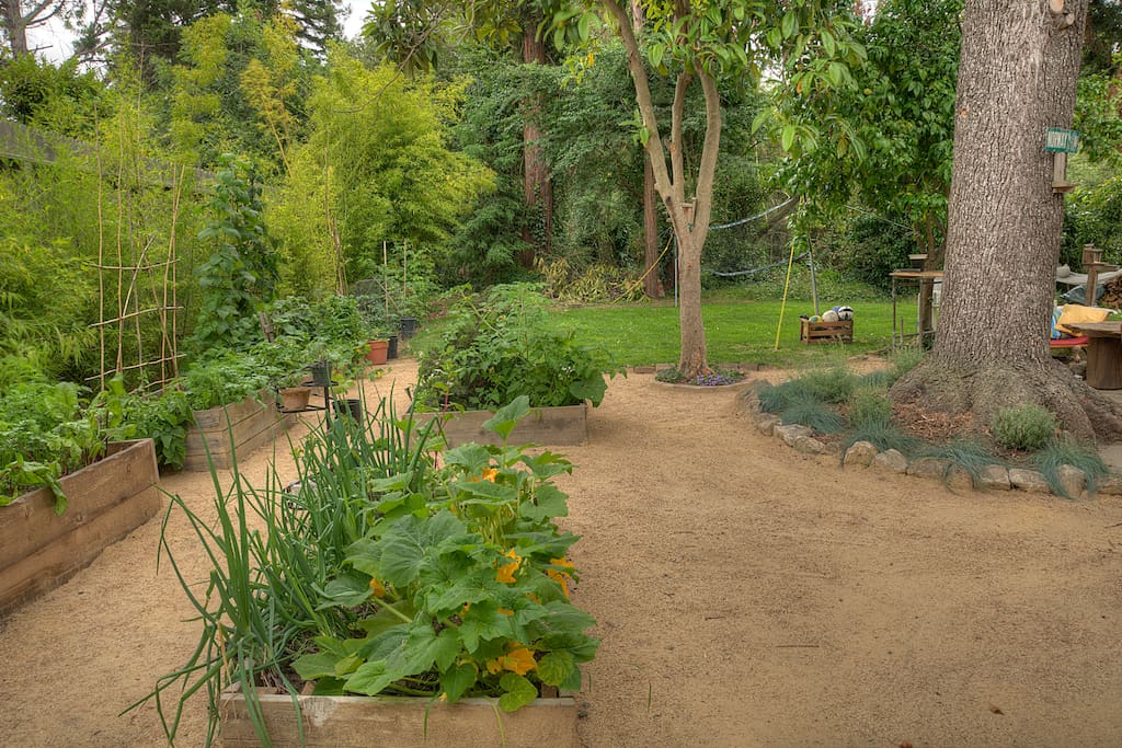 Vegetable garden and lush backyard. In the back left corner, there is now a cottage that was not yet built when this photo was taken