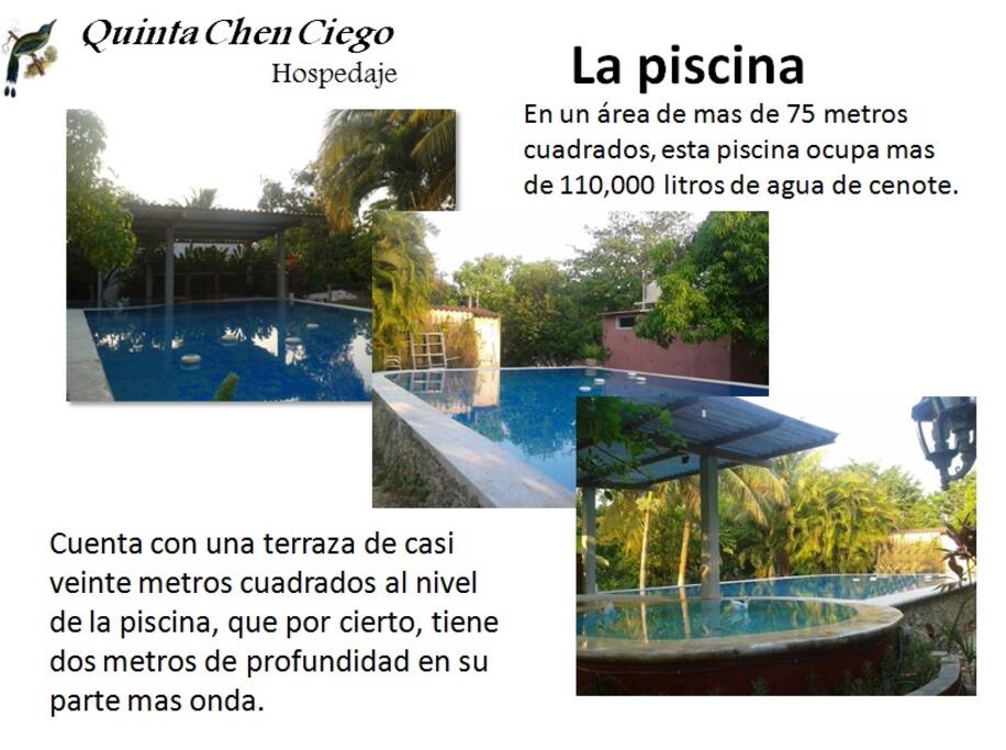Piscina de 6 x 10 profundidad maxima: 2.00 mts.