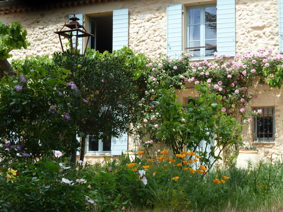 Studio en haut