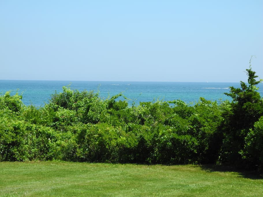 More views
