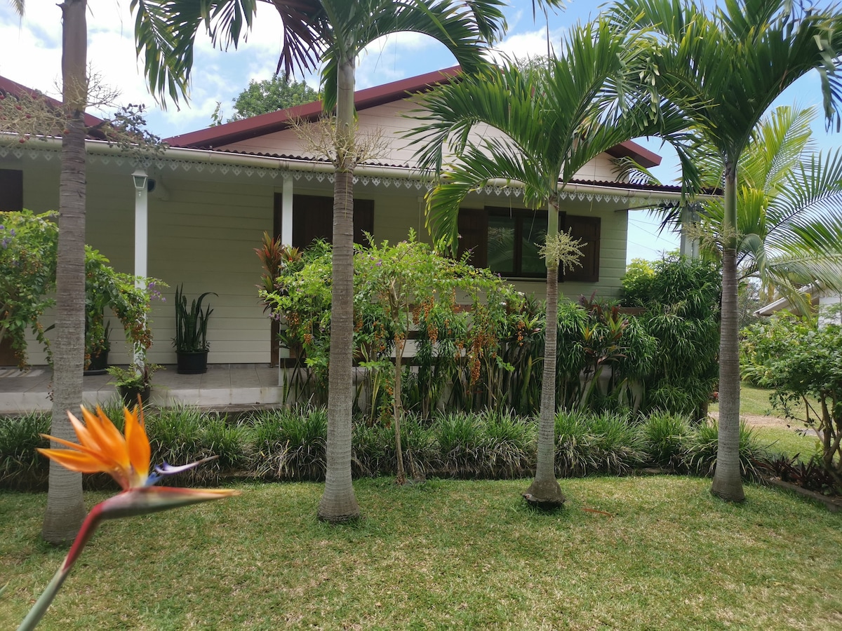 A bungalow set amid lush tropical greenery is framed by tall palm trees. Vibrant foliage surrounds the entrance, with a variety of plants and flowers enhancing the natural environment. The bungalow features large windows, allowing for views of the serene garden landscape.