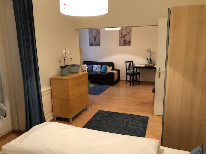 10 Best ShortTerm Rentals In Zürich, Switzerland Updated 2024 Trip101