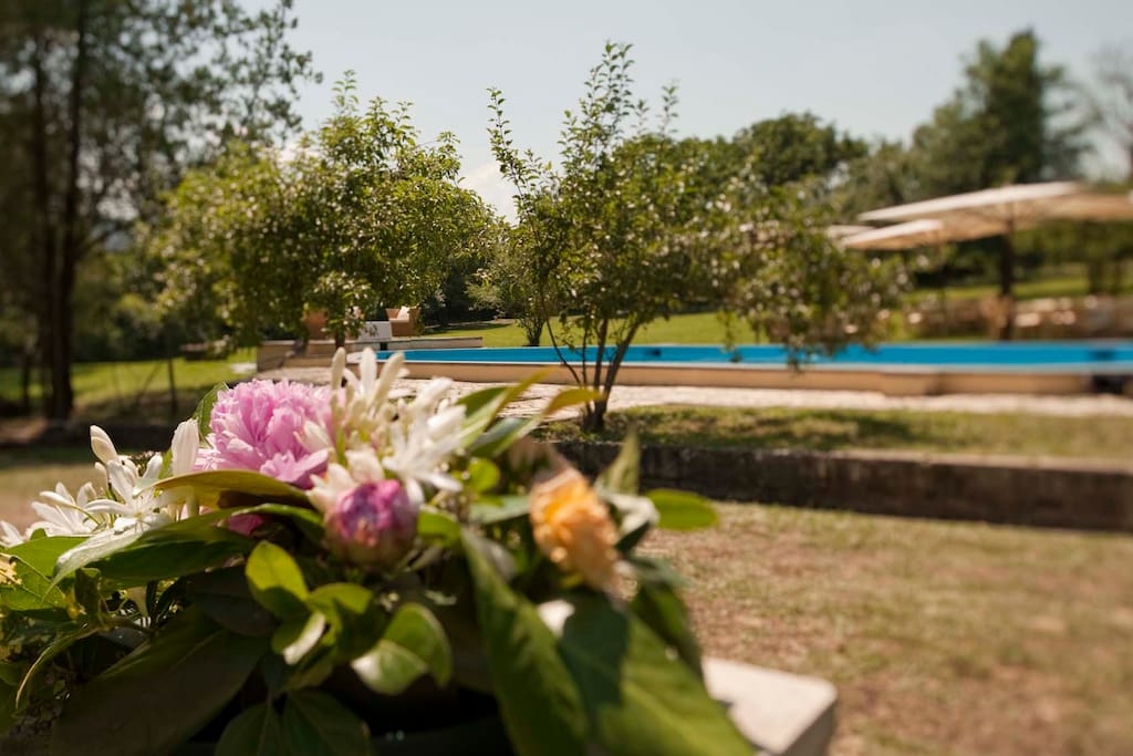 Take in the nature, breathe fresh air!