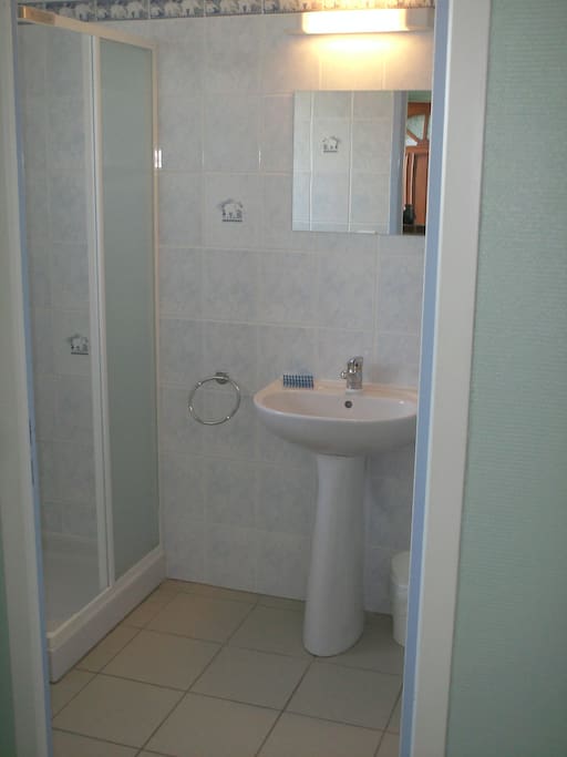 salle d'eau carrelée avec fenêtre+ WC