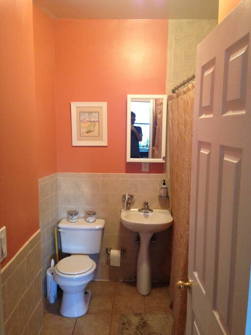 Spacious bathroom (by New York City standards)
