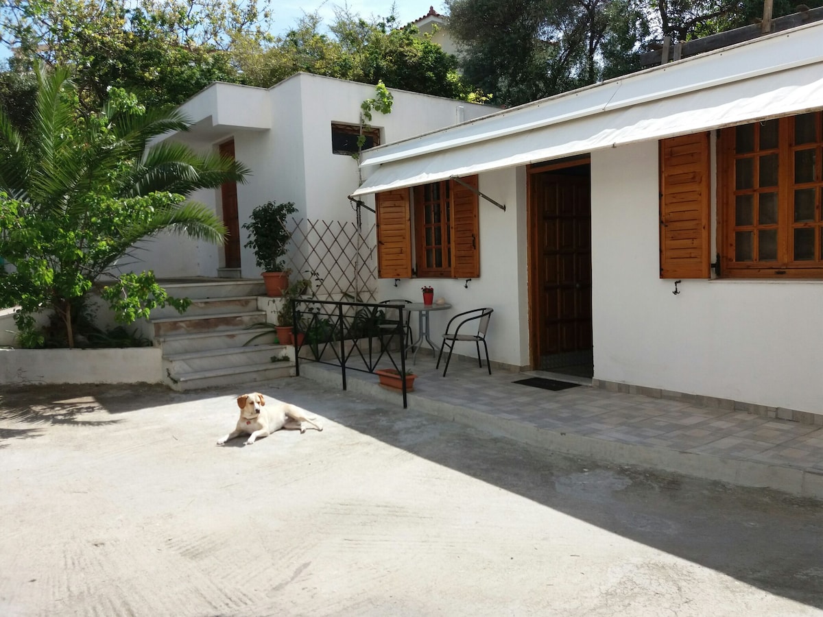 The exterior of the garden studio is shown, featuring white walls and wooden window shutters. A small patio area includes a table and two chairs. A relaxed dog is seen lying on the ground, while potted plants and a palm tree add greenery to the space.
