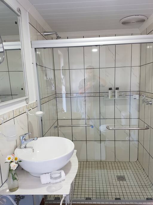 Large shower single vanity and toilet