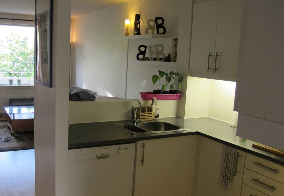 Open kitchen soultion.
