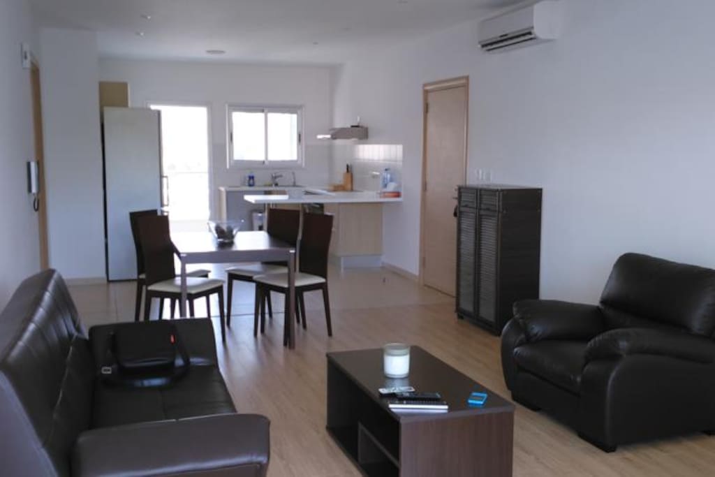 Main living room and kitchen