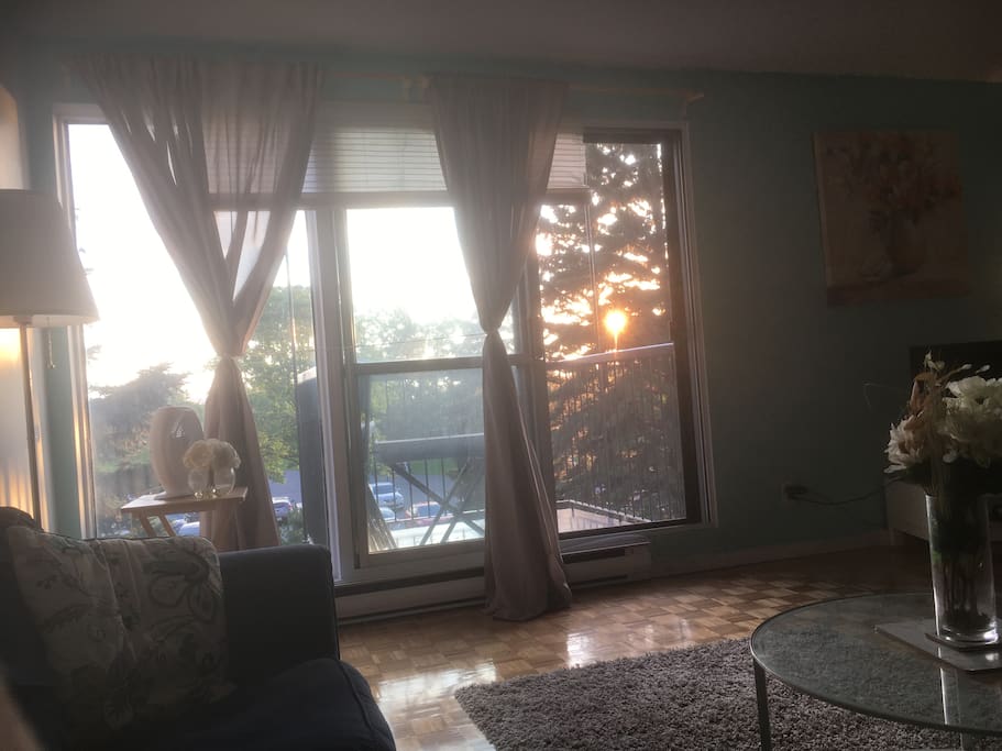 Sunset view from the living room.