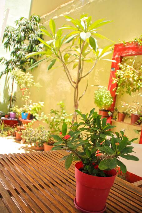 Private patio