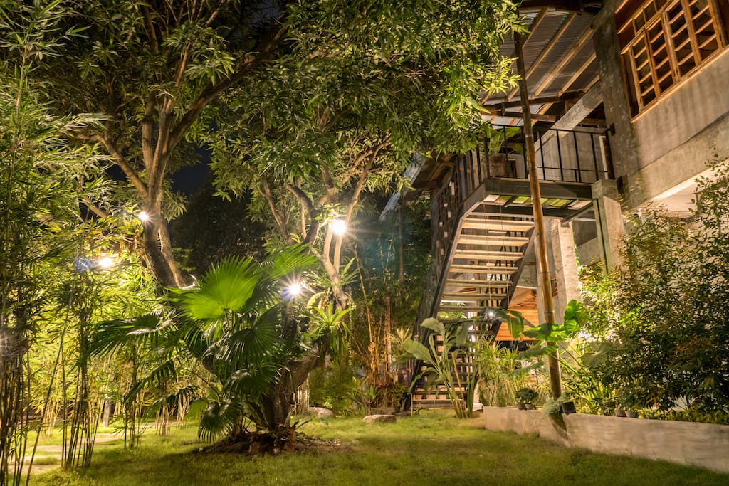 Our garden by night