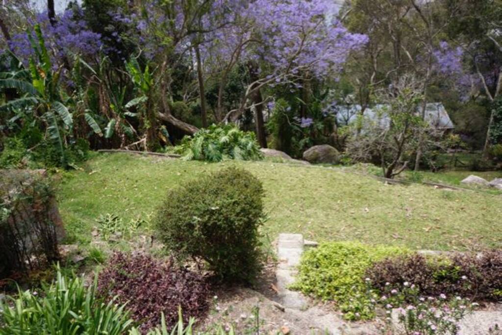 Back Garden